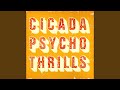 Psycho Thrills (Aniki's 'Thrill Ride' Remix)