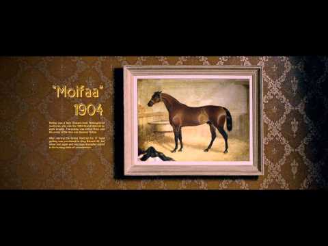 Our Grand National Opener