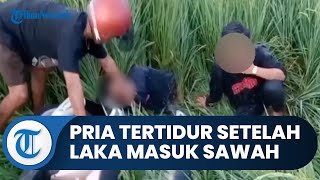 Viral Video Pria Tertidur Pulas seusai Kecelakan Motor hingga Masuk Sawah, Terkejut saat Dibangunkan