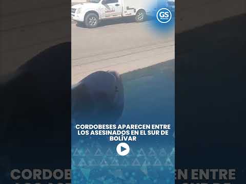 CORDOBESES APARECEN ENTRE LOS ASESINADOS EN EL SUR DE BOLÍVAR