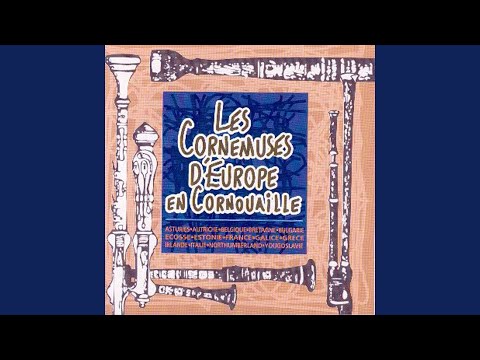 Bombarde et Biniou Coz (Brittany)