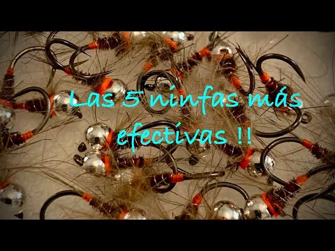 The 5 best nymphs for trout fishing