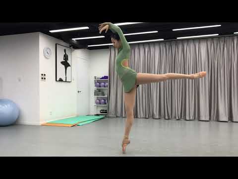 classical variation The Dying Swan LuDi