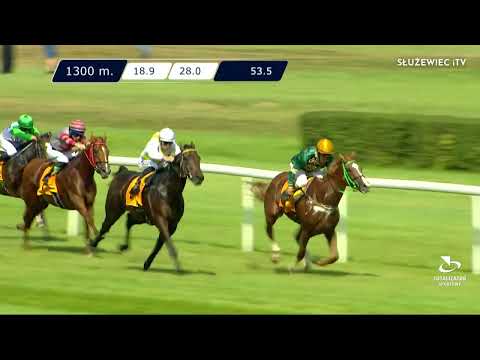 Nagroda Deer Leapa (specjalna) - (Kat.B)  28.08.2022 - (Dzień 28; Gonitwa 2)