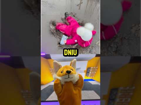 urodziły się w idealnym dniu