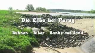 preview picture of video 'Die Elbe bei Parey - Buhnen, Biberspuren und Bänke aus Sand'