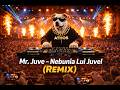 Mr. Juve - Nebunia Lui Juvel (Afro House Remix) 🔥 | Foc Pe Boxe