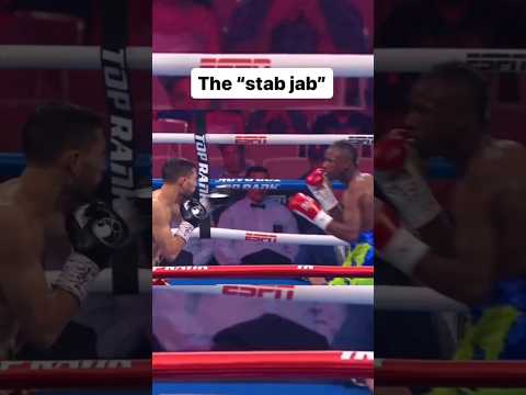 the Stab Jab #boxing #mma #ufc #boxer #shortsfeed #boxingtraining #boxingtechnique #shorts #short