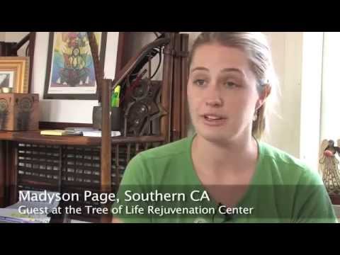 Programa de Reversão da Diabetes - Dr. Gabriel Cousens