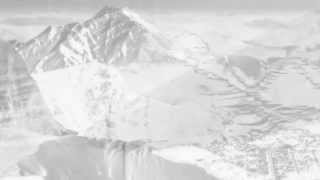 Zuzu's Petals - Nothin's Goin' On