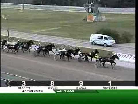 04/09/2012, Trieste , Premio Aragona