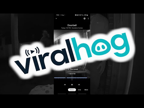 Little Girl Trick or Treating Doesn't Fool Around || ViralHog
