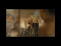 Mandala Murder Hot Scene 1million Surveen Chawla
