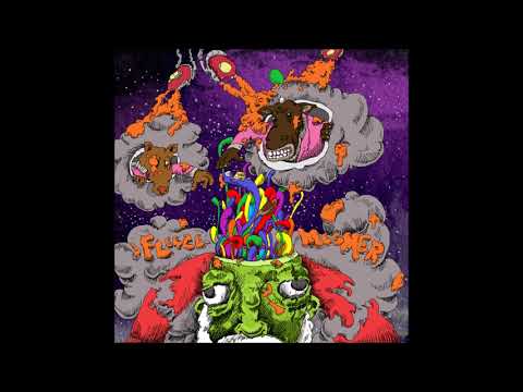 02. fleece - galaxies