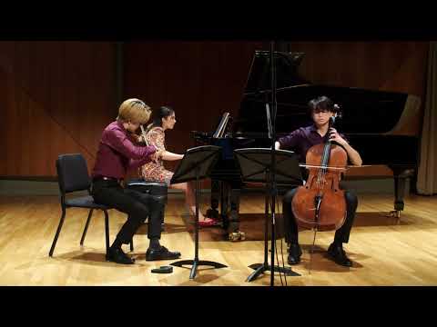Haydn Piano Trio No.44 in E Major, Hob.XV:28 | Trio Tokava