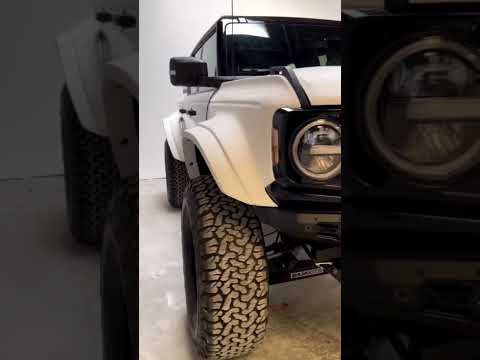 8” Fenders, rear quarters, & carbon ram air hood...