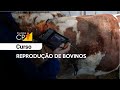 Curso Administração da Pequena Empresa Rural