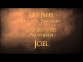 Das Buch Des Propheten Joel