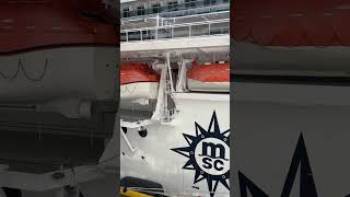 CRUISESHIP’s plus the Crowd catch my attention!.. #cruiseship #travel #yt #ytshorts #shorts #viral