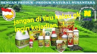 Download lagu Bahaya... ! Paket Pupuk Padi Nasa Membuat Petani Kecanduan mp3 Download lagu Bahaya... ! Paket Pupuk Padi Nasa Membuat Petani Kecanduan mp3