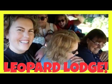 SOUTH AFRICAN ROAD TRIP: LEOPARD LODGE HARTBEESPORT SOUTH AFRICA TRAVEL VLOG!