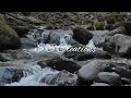 Naan Pizhai Lyrical Whatsapp Status