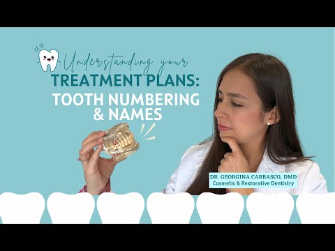 Tooth Numbering System