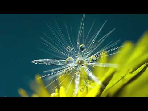 Romanza Spring Waltz (Instrumental) Music & orchestration Yorgos Kazantzis