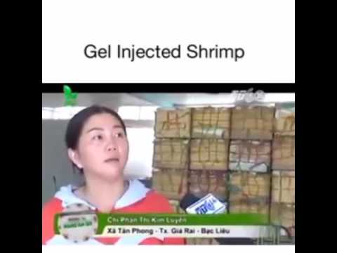 Gel Injected Shrimp