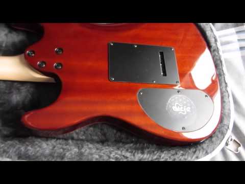 HNGD - Chapman Guitars Korean ML1 in Antique Sunburst #21