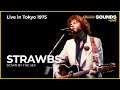 Strawbs - Down By The Sea (Live) (Live in Tokyo 1975)