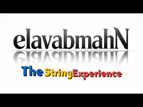 Strings Tribute | Inspired by Django & Stéphane Grappelli and Turtle Island Quartet