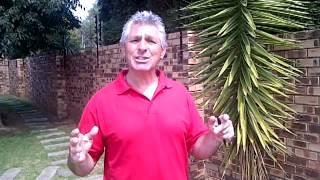 8 Glorious Days in South Africa