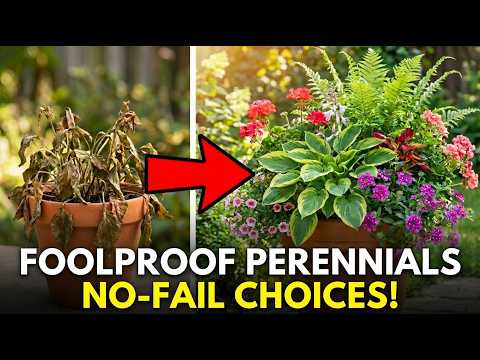 Foolproof Perennials: The Best Choices for Beginner Container Gardeners