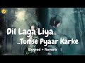 Dil Laga Liya Slowed Reverb Alka Yagnik Udit Narayan Dil Hai Tumhaara DarkLiFE