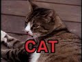 Sesame Street Kids Talk About Their Cats