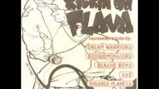Digable Planets - 9th Wonder (Blackitolism) (Elaine Brown Mix)