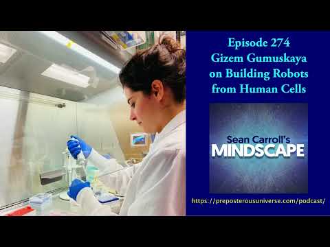 Mindscape 274 | Gizem Gumuskaya on Building Robots from Human Cells