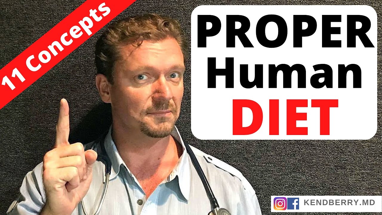 PROPER HUMAN DIET Principles (11 Concepts You Need) 2024