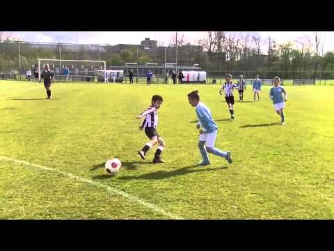 Samenvatting Hermes DVS F1 -  Zwaluwen F1