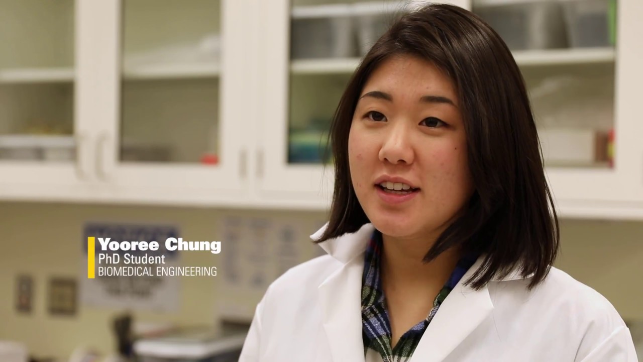 University of Michigan: BioElectronic Vision Lab