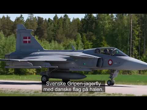 "Danish Flag on Swedish Wings – Do Politicians Dare to Take the Leap?"