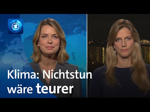 Video Thumbnail: COP: Transformationsforscherin Göpel fordert mehr Klimaschutz | tagesthemen-Interview
