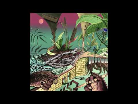 Nu Guinea - Open Paths