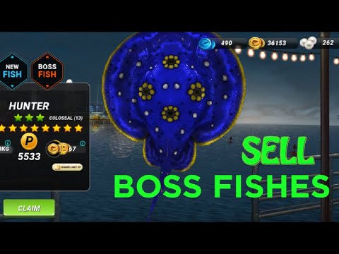 How to sell BOSS FISHES in FISHING CLASH?  Get Lots of COINS | (Fishing Clash) #fishingclash