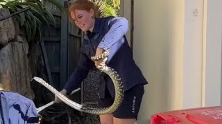 Have-you-ever-played-hide-n-seek-with-a-#snake #venomouscreatures #treeanimal #wildliferescue