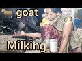 Viral Milk Making Vlog
