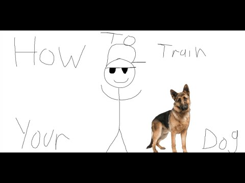 How to Train Your Dog and the Benefits Behind It (Informative Video)