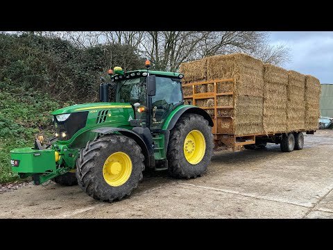 Building A Fence & Shifting Straw!