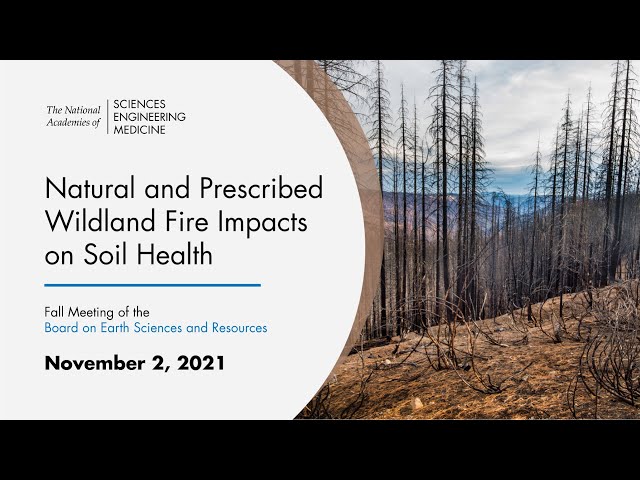 Vídeo relacionado con Current International Perspectives on Wildland Fires, Mankind & the Environment (Natural Disaster Research, Prediction and Mitigation)